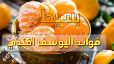 فوائد اليوسف افندي