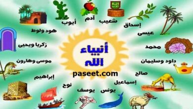 ما الدروس المستفادة من قصص الأنبياء