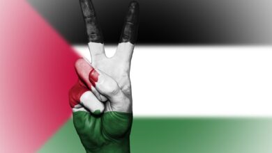 موضوع عن الطفل الفلسطيني