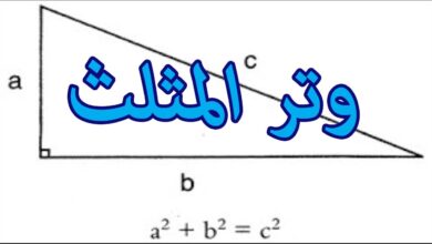 كيف اعرف الوتر في المثلث