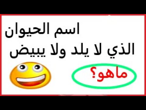 ماهو الحيوان الذي لا يلد ولا يبيض