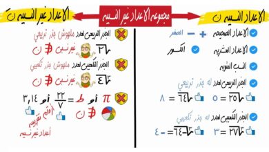 الأعداد النسبية وغير النسبية