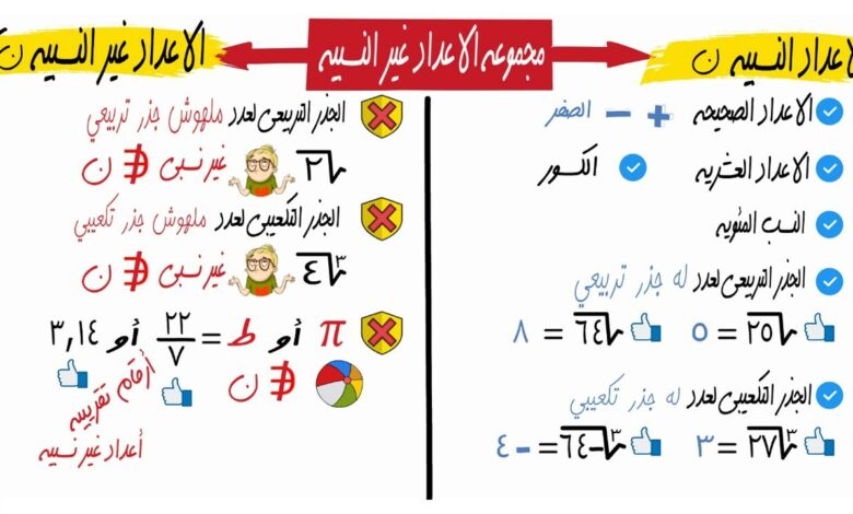 الأعداد النسبية وغير النسبية