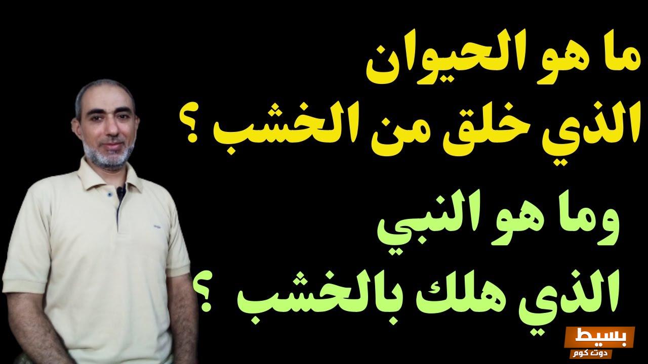 من هو النبي الذي هلك بالخشب