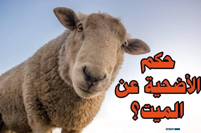 شروط الأضحية للميت وحكمها وكيفية ذبحها