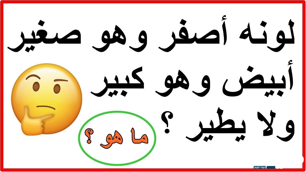 أسئلة ثقافية سهلة 2024